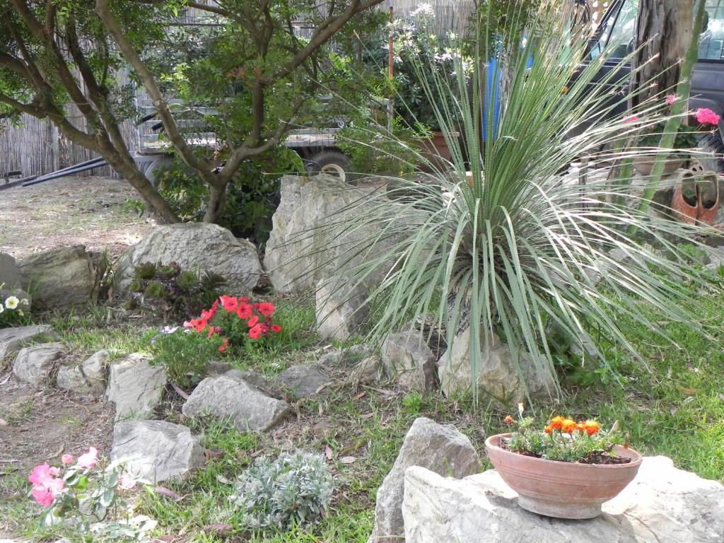拉克纳露营地 卡波利韦里 外观 照片